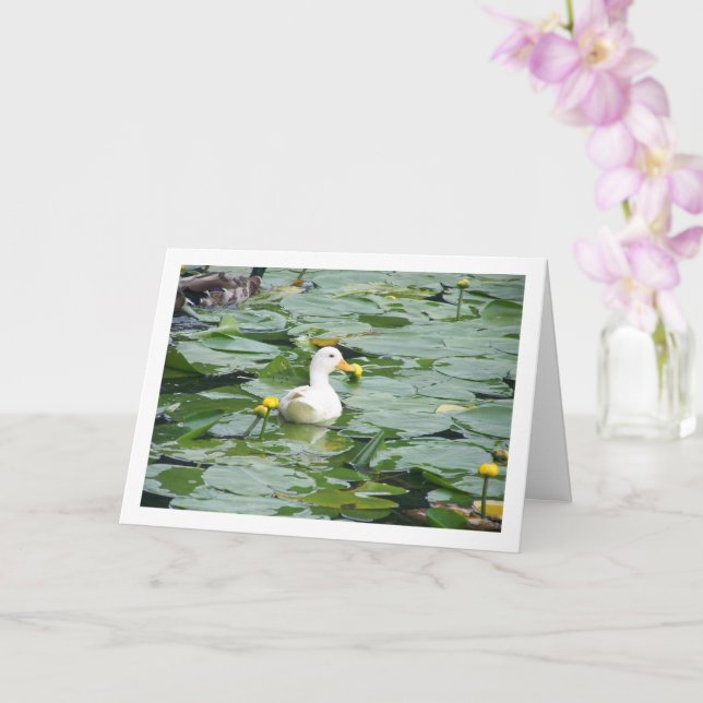 Weiße Ente in Lily Pond Karte (Orchidee)