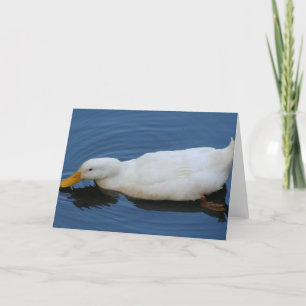 Weiße Ente Karte
