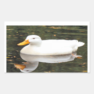 Weiße Enten-Aufkleber Rechteckiger Aufkleber