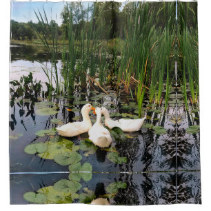 Weiße Enten, Lilienpads, Fesseln, Seeufer Duschvorhang