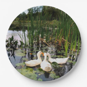 Weiße Enten, Lilienpads, Fesseln, Seeufer Pappteller