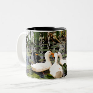 Weiße Enten, Lilienpads, Fesseln, Seeufer Zweifarbige Tasse