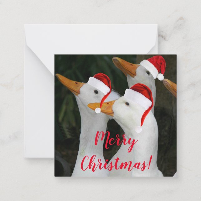 Weiße Enten mit roten Weihnachtsmannmützen Urlaub Mitteilungskarte (Vorderseite)