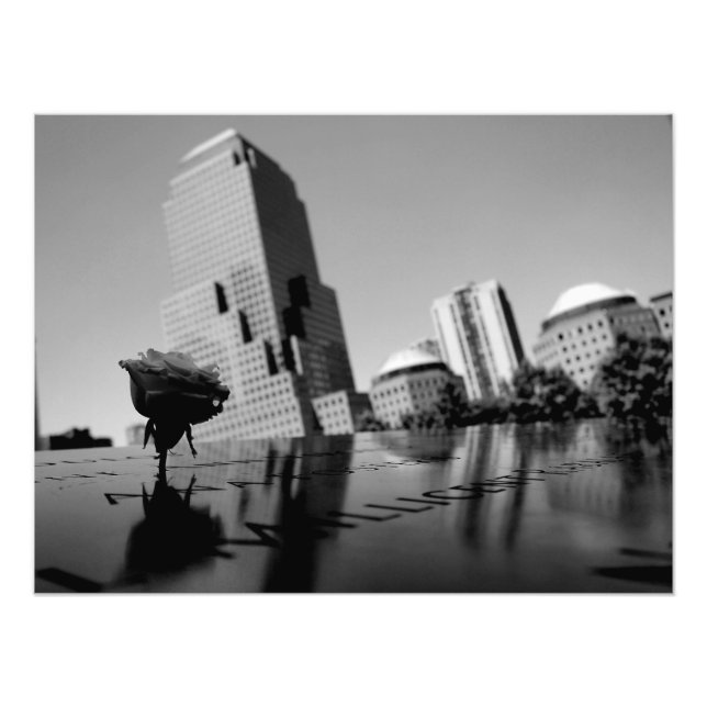 Weiße Erinnerungsrose Fotodruck (Vorne)