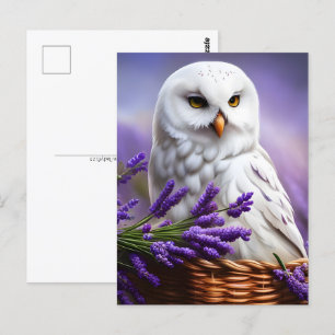 Weiße Eule in Lavendel, Postüberquerung Postkarte