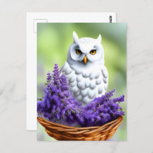 Weiße Eule in Lavendel, Postüberquerung