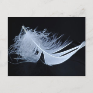 Weiße Feder - Engel von Natur Postkarte