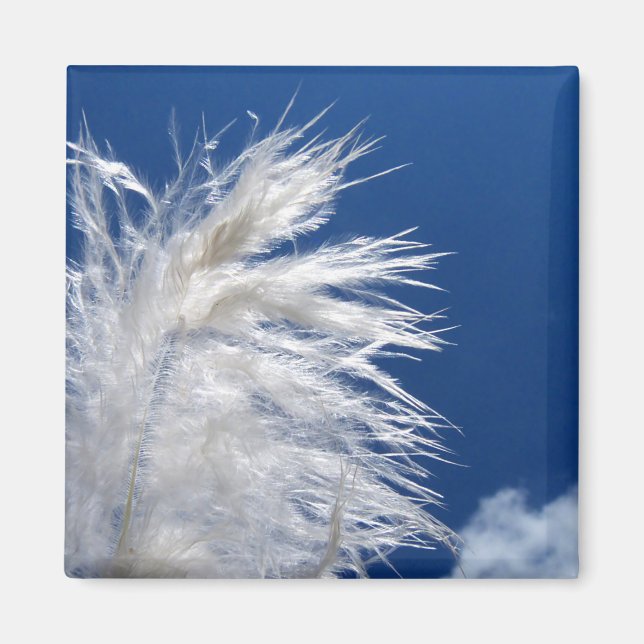 Weiße Feder hellblauer Himmel einfaches Motiv Must Magnet (Vorne)