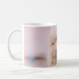 WEISSE FOTOGRAFIE IN NAH-OBEN KAFFEETASSE