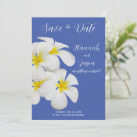 Weiße Frangipani-Blume, auf blau, Save the Date