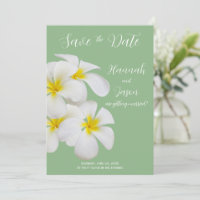 Weiße Frangipani-Blume, auf Sendung, Rett Datum