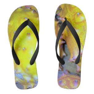 Weiße Fruchtflacker Flip Flops