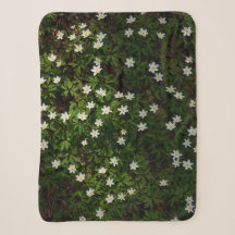 Weiße Frühlingsblumen im Wald