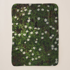 Weiße Frühlingsblumen im Wald Sherpadecke