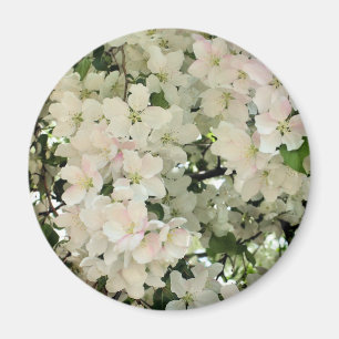 Weiße Frühlingsblüten Blumenfotografie Magnet