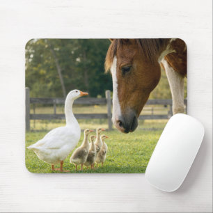 Weiße Gans mit Gössen und Pferd Mousepad