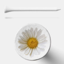 Weiße Gänseblümchen-Blume
