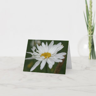 Weiße Gänseblümchen-Blumenfotografie Notiz Karte