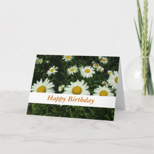 weiße Gänseblümchen frohen Geburtstag Karte