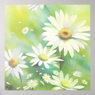 Weiße Gänseblümchen Poster