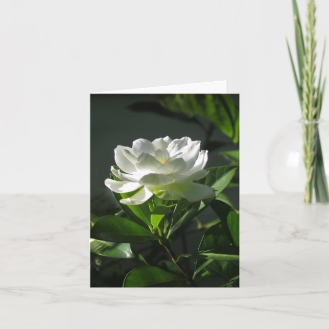 Weiße Gardenia-Blüten-Anmerkungs-Karte Karte (Vorderseite)