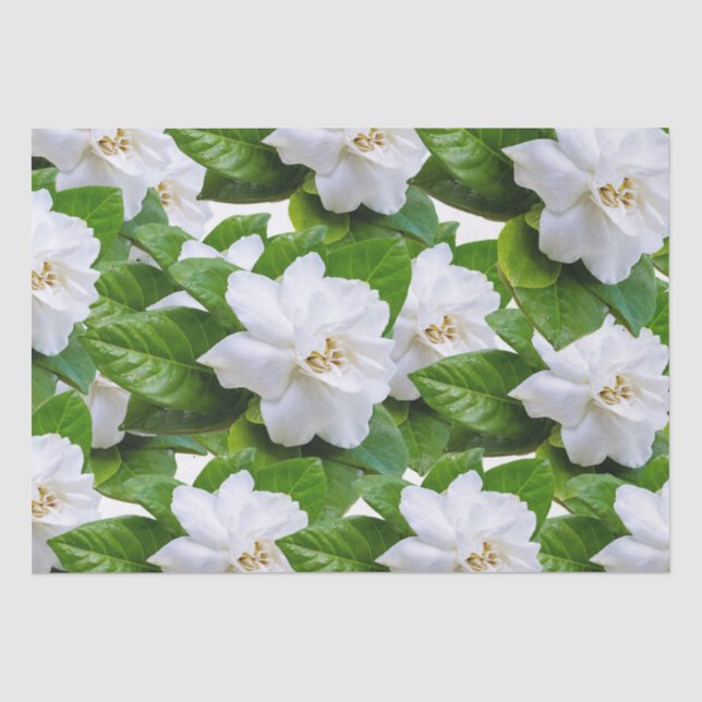 Weiße Gärten und Blume   Seidenpapier (Vorderseite)