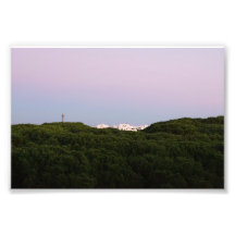 Weiße Gebäude hinter Kiefern in Portugal