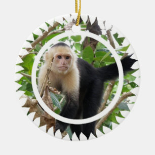 Weiße gegenübergestellte Capuchin-Affe-Verzierun Keramik Ornament