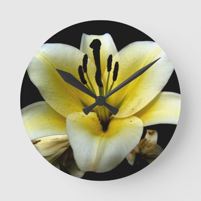 Weiße gelbe Blossom auf schwarzem Hintergrund Blüt Runde Wanduhr (Vorderseite)