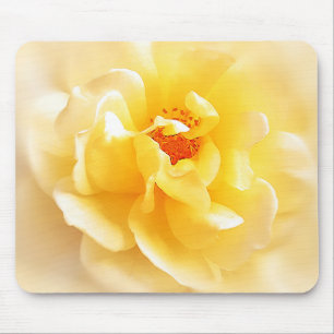 Weiße gelbe Rose weiche helle Farben Mousepad