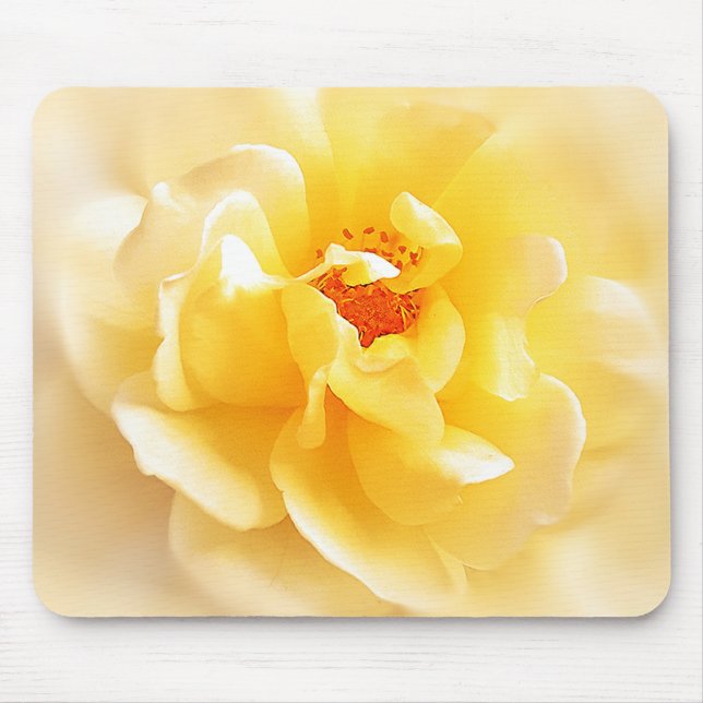 Weiße gelbe Rose weiche helle Farben Mousepad (Vorne)