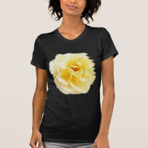Weiße gelbe Rose weiche helle Farben