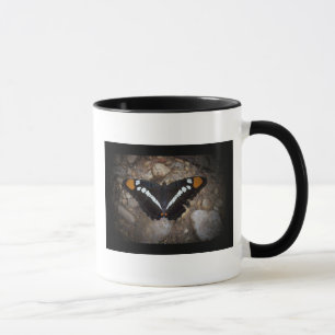 Weiße gepunktete Schmetterlings-Tasse Tasse