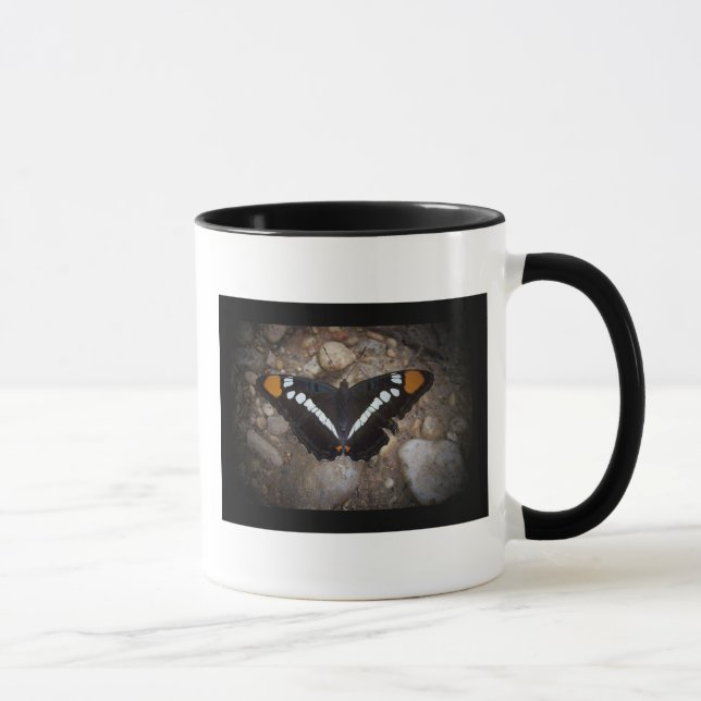 Weiße gepunktete Schmetterlings-Tasse Tasse (Rechts)