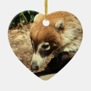 Weiße gerochene Coati-Verzierung Keramik Ornament