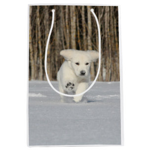Weiße, goldene Retriever Welpe im Schnee Mittlere Geschenktüte