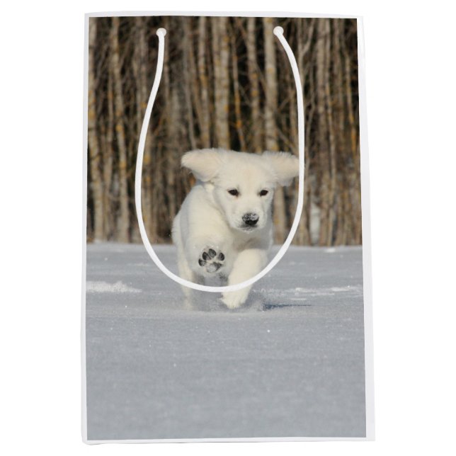 Weiße, goldene Retriever Welpe im Schnee Mittlere Geschenktüte (Vorderseite)