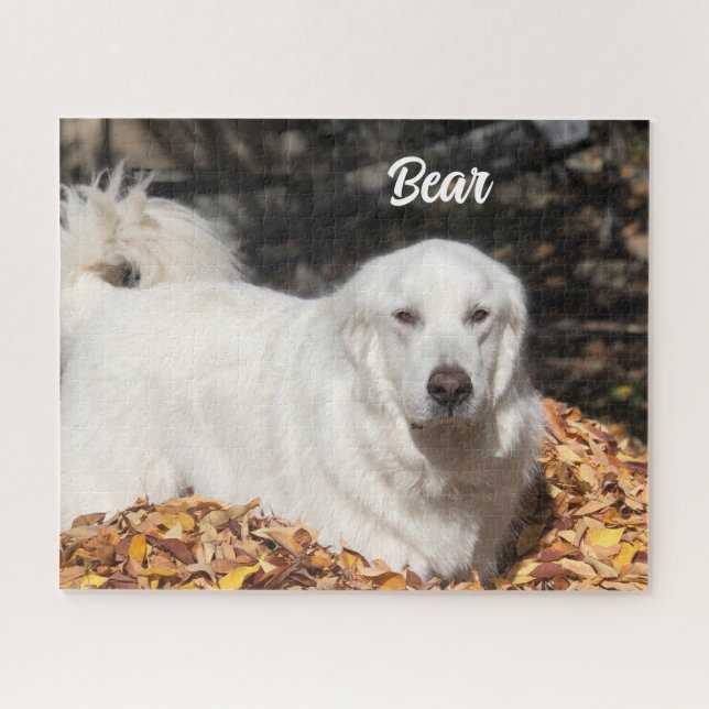 Weiße große Pyrenäen Tierschützer Hund (Horizontal)