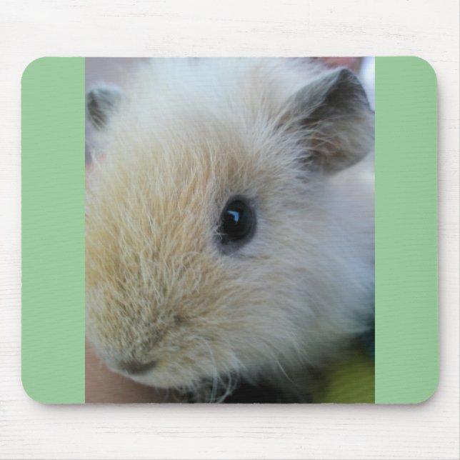 Weiße Guinea mit Hübschen grünen Kanten Mousepad (Vorne)