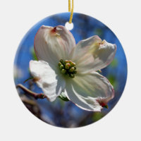 Weiße Hartriegel-Blumenverzierung