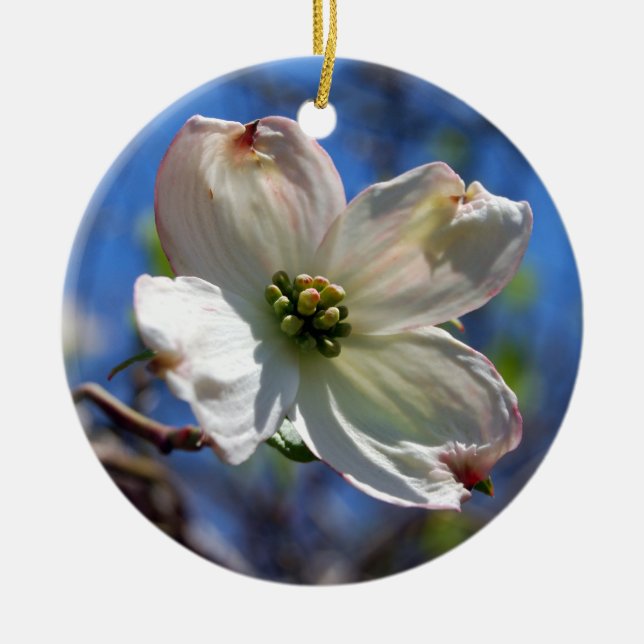 Weiße Hartriegel-Blumenverzierung Keramik Ornament (Vorne)