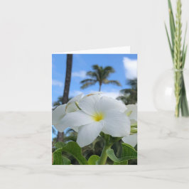 Weiße hawaiianische Blume geklappte Grußkarte Karte