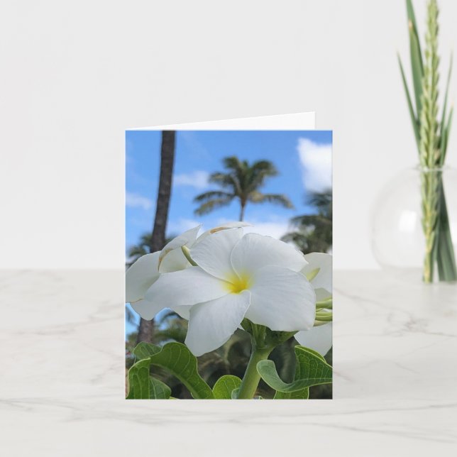 Weiße hawaiianische Blume geklappte Grußkarte Karte (Vorderseite)