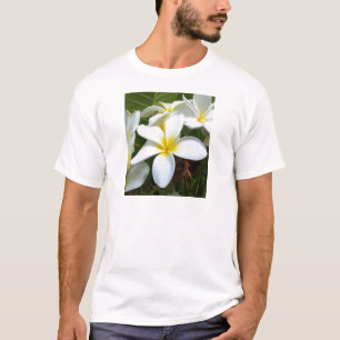 Weiße Hawaiiplumeria-Blume T-Shirt