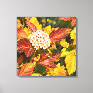 Weiße Herbstblüten in Karmesinrot und Gold Leinwanddruck