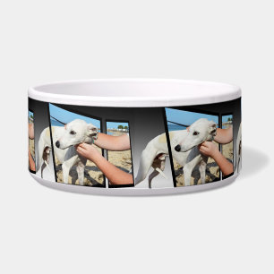 Weiße Hunde Abmessungen Art, Napf