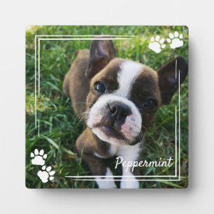 Weiße Hundfläche Druckrahmen Foto und Name Fotoplatte