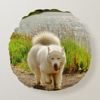 Weiße husky blaue Augen: Rundes Kissen
