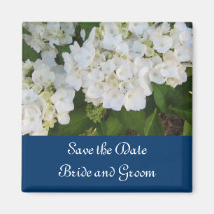 Weiße Hydrangeas mit Seegrenzen Magnet