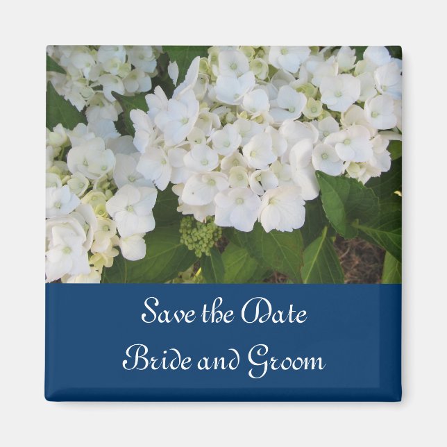Weiße Hydrangeas mit Seegrenzen Magnet (Vorne)